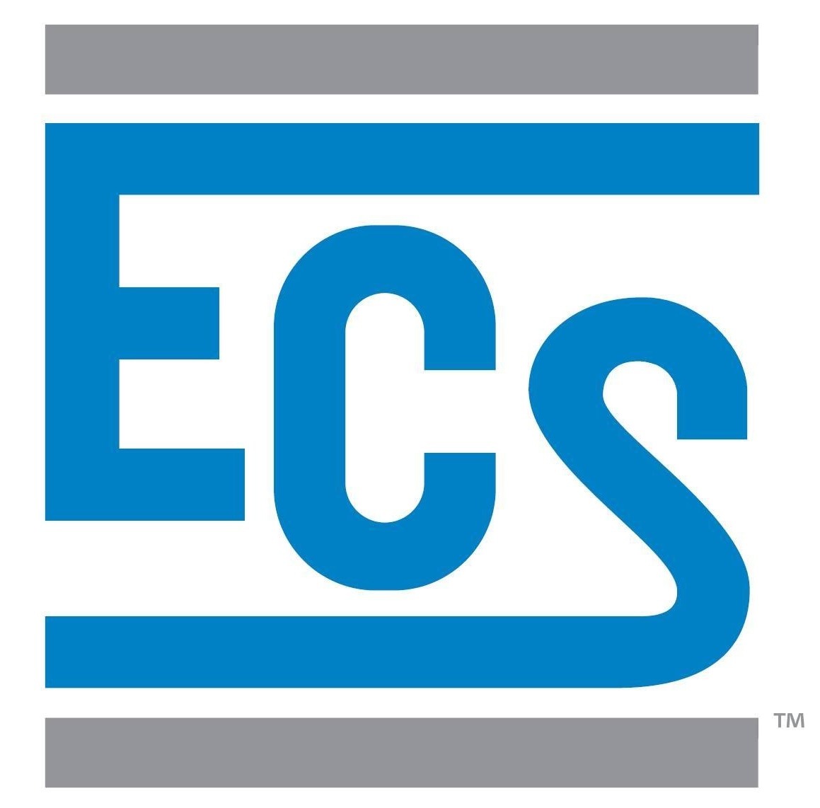 ECS Group of Companies Case Study logo