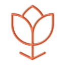 Flower Tulip Medium 128