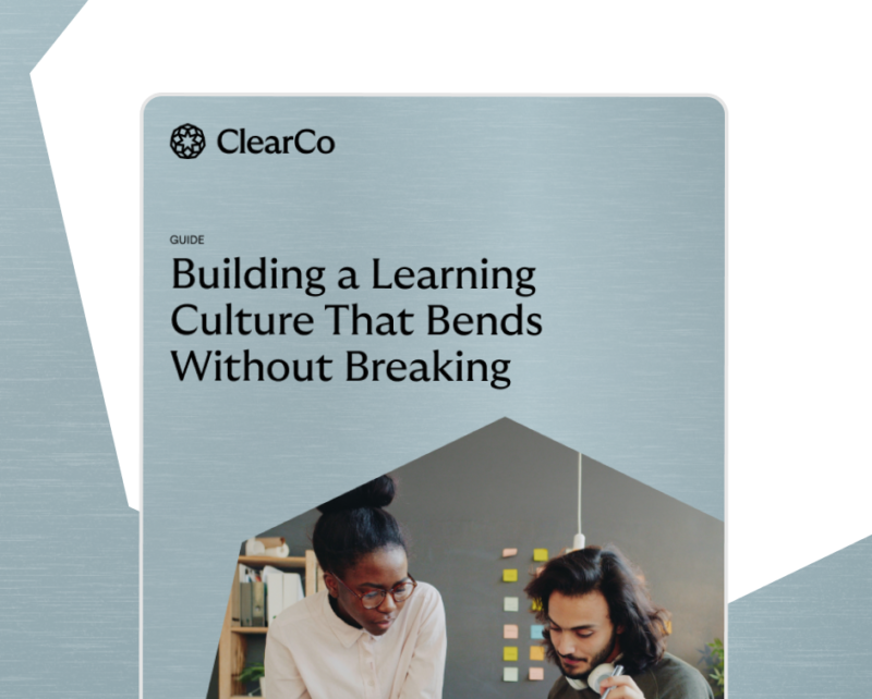 HUB img Building a Learning Culture That Bends Without Breaking